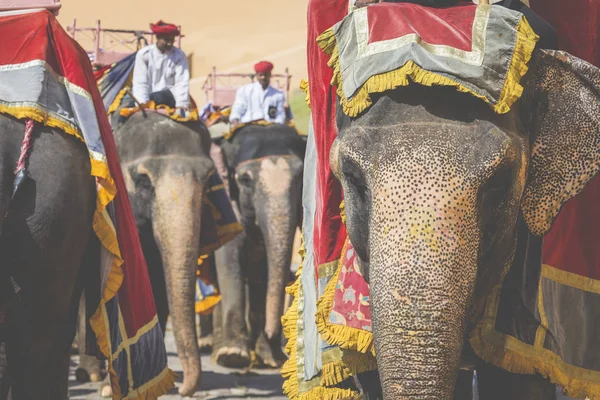 Jaipur, Indi Amber Fort Jaleb Chowk filler dekore edilmiş