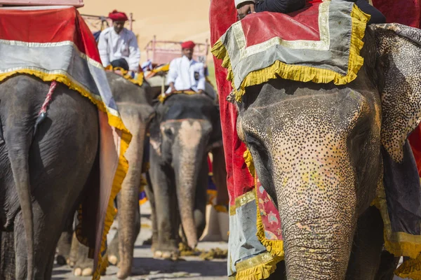 Inredda elefanter i Jaleb Chowk i Amber Fort i Jaipur, Indi — Stockfoto
