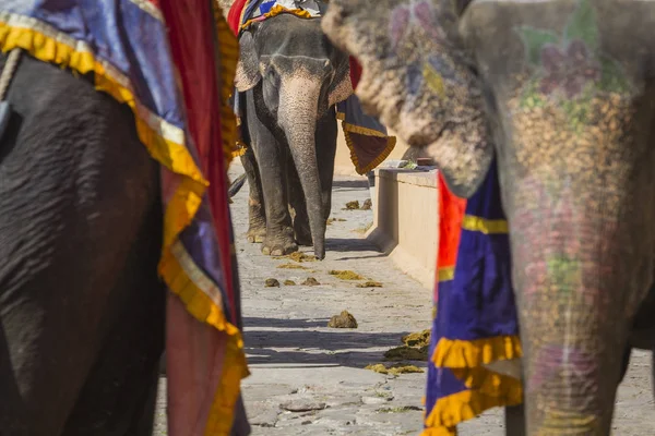 Jaipur, Indi Amber Fort Jaleb Chowk filler dekore edilmiş