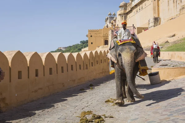 Jaipur, Hindistan - 18 Eylül 2017: Tanımlanamayan decora ata binip