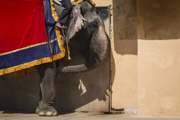 Inredda elefanter i Jaleb Chowk i Amber Fort i Jaipur, Indi — Stockfoto