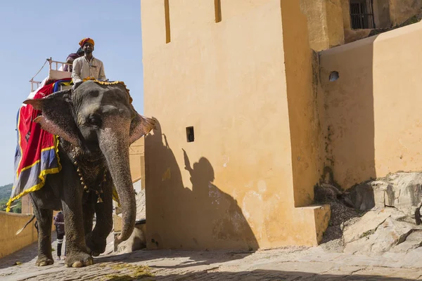 Jaipur, Hindistan - 18 Eylül 2017: Tanımlanamayan decora ata binip