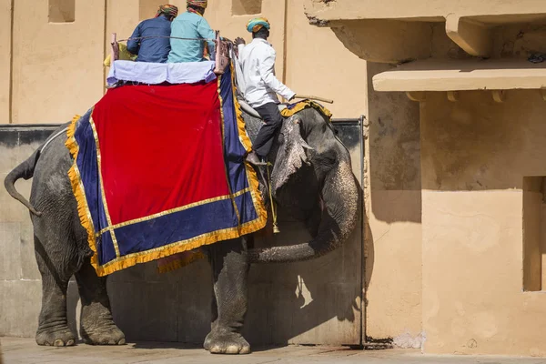 Jaleb チョウク インディ ジャイプールのアンベール城で象の装飾 — ストック写真