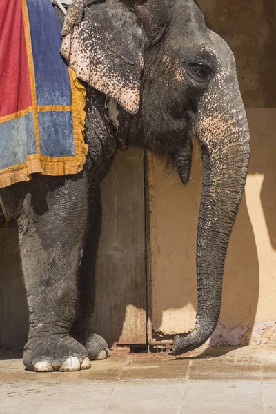 Jaipur, Indi Amber Fort Jaleb Chowk filler dekore edilmiş