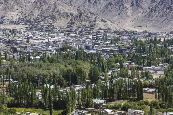 Leh Stadt und Berg, leh ladakh, Indien — Stockfoto