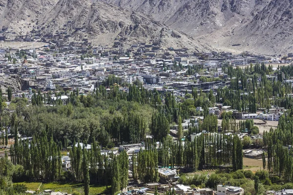 Leh city and Mountain, Leh Ladakh, India — Stock Photo, Image