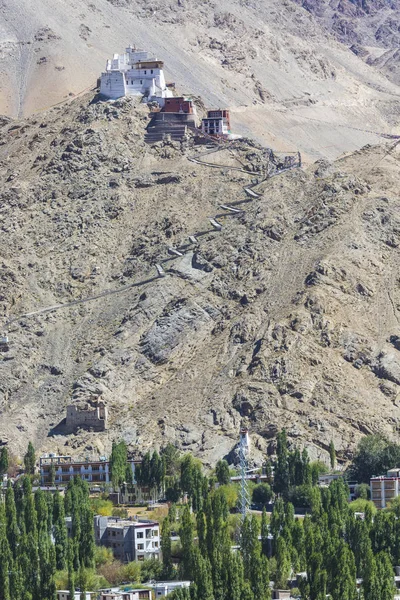 Leh şehir ve dağ, Leh Ladakh, Hindistan — Stok fotoğraf