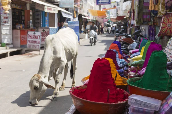 Poudre colorée à vendre sur l'occassion festive de Holi à Ind — Photo