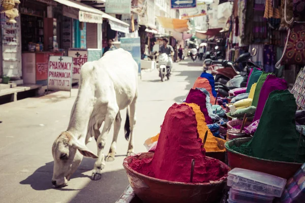 Poudre colorée à vendre sur l'occassion festive de Holi à Ind — Photo
