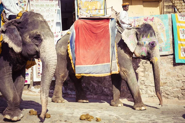 Jaipur, Hindistan - 18 Eylül 2017: Tanımlanamayan decora ata binip — Stok fotoğraf