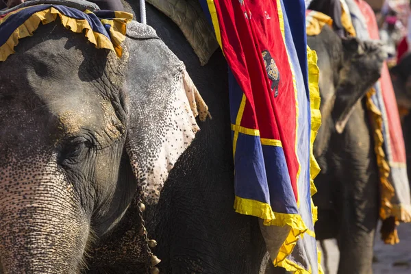 Jaipur, Indi Amber Fort Jaleb Chowk filler dekore edilmiş