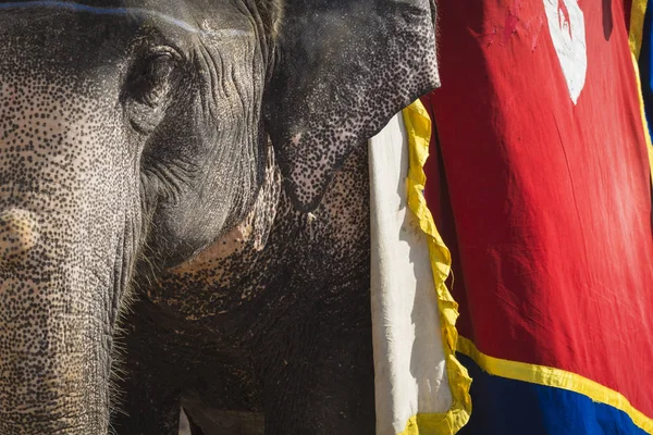 Jaipur, Indi Amber Fort Jaleb Chowk filler dekore edilmiş