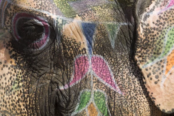 Jaipur, Indi Amber Fort Jaleb Chowk filler dekore edilmiş