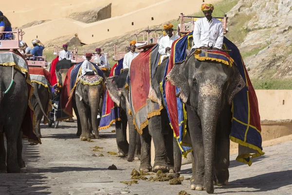 Jaipur, Hindistan - 18 Eylül 2017: Tanımlanamayan decora ata binip