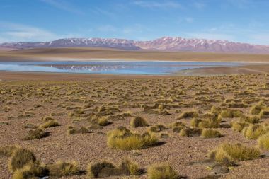 Çöl ve mavi gökyüzü ve Altiplano üzerinde beyaz bulutlar dağ,