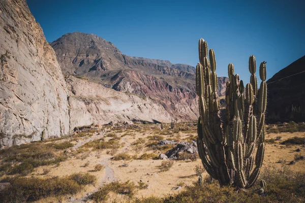 Peru, canionul Cotahuasi. Lupii cel mai adânc canion . — Fotografie, imagine de stoc