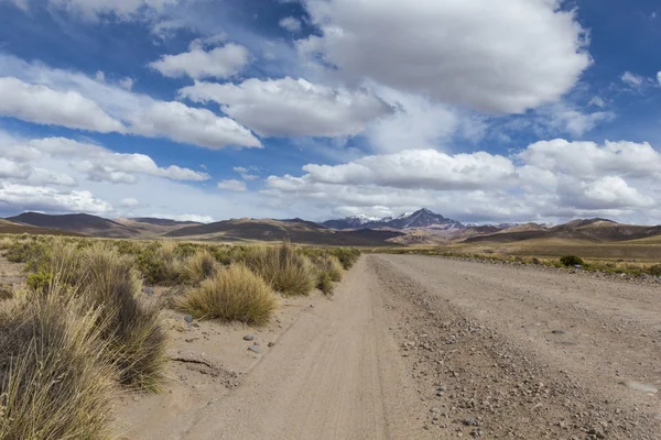 En öken på altiplano Anderna i bolivia — Stockfoto