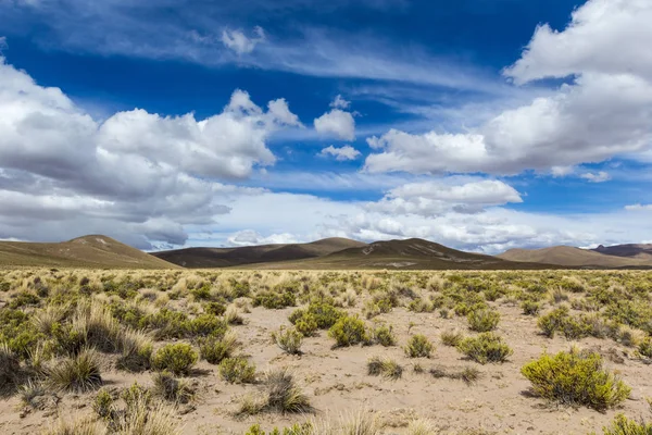 Пустеля на Альтіплано Анд в Болівії — стокове фото