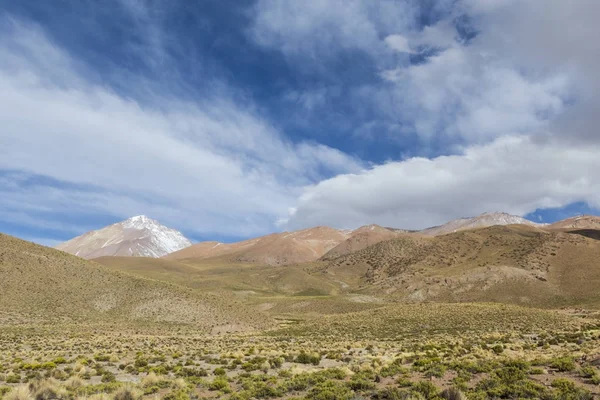 Um deserto no altiplano dos andes na Bolívia — Fotografia de Stock