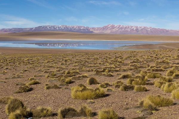 Wüste und Berg über blauem Himmel und weißen Wolken auf dem Altiplano, — Stockfoto