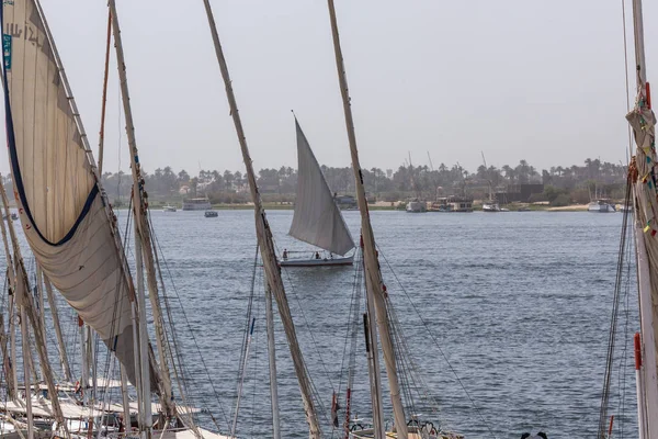 Felucca (flodbåt) på Nilen, med Sahara bakom i Aswa — Stockfoto