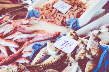 Renkli seçim balık bir pazarda Palermo, Sicilya, İtalya