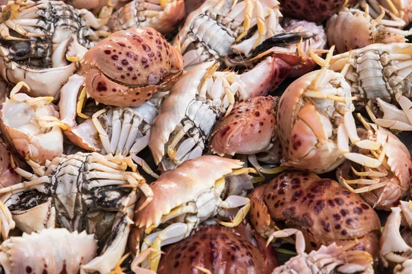 Háttér, a kagyló, eladó egy halpiac, Szicília, Olaszország — Stock Fotó