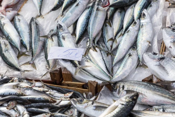 Colorida selección de pescado en un mercado en Palermo, Sicilia, Italia — Foto de Stock