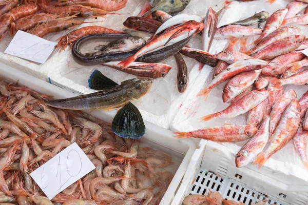 Scelta variopinta del pesce in un mercato a Palermo, Sicilia, Italia — Foto Stock