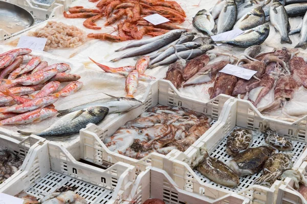 Kleurrijke keuze uit vis op een markt in Palermo, Sicilië, Italië — Stockfoto