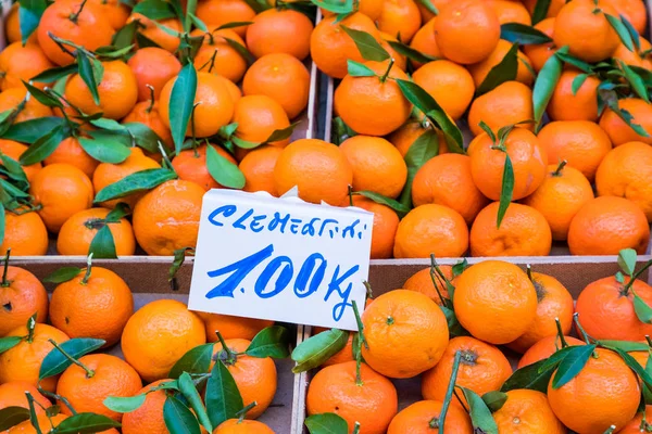 Background of the fresh mandarins with leaves in traditional ita — Stock Photo, Image