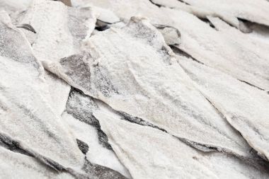 Tuzlanmış Morina balığı bacalhau Palermo geleneksel pazarında kurutulmuş 
