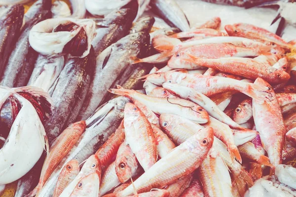 Colorful choice of fish at traditional market in Palermo, Sicily — Stock Photo, Image