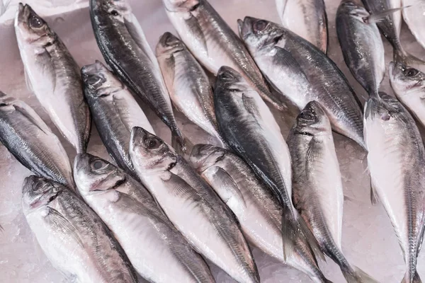Färgglada val av fisk på traditionell marknad i Palermo, Sicilien — Stockfoto