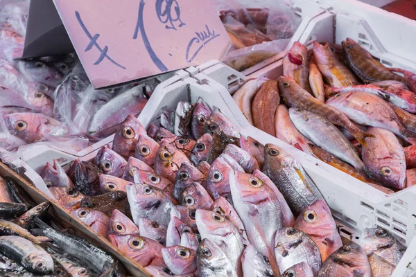 Scelta variopinta del pesce al mercato tradizionale di Palermo, Sicilia — Foto Stock