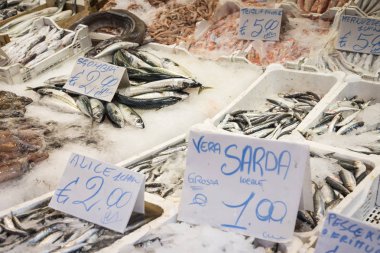 Palermo, Sicilya geleneksel Pazar balıklara renkli seçimi