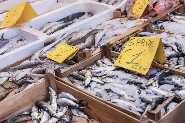 Escolha colorida de peixes no mercado tradicional em Palermo, Sicília — Fotografia de Stock