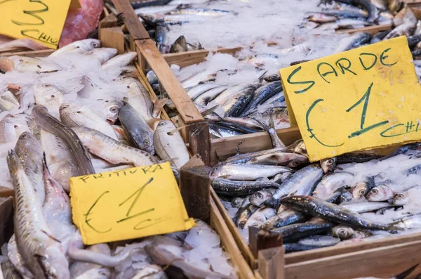 Escolha colorida de peixes no mercado tradicional em Palermo, Sicília — Fotografia de Stock