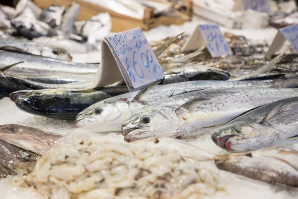 Escolha colorida de peixes no mercado tradicional em Palermo, Sicília — Fotografia de Stock