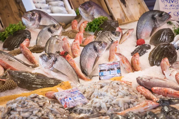 Colorida selección de pescado en el mercado tradicional de Palermo, Sicilia —  Fotos de Stock