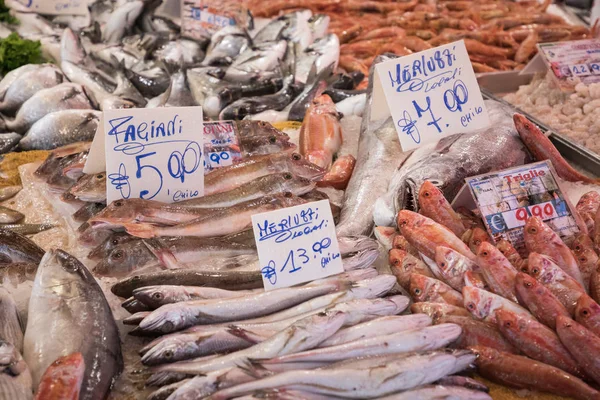 Kleurrijke keuze uit vis op traditionele markt in Palermo, Sicilië — Stockfoto