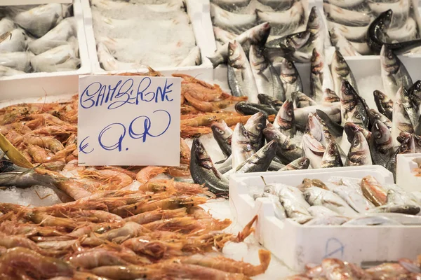 Escolha colorida de peixes no mercado tradicional em Palermo, Sicília — Fotografia de Stock