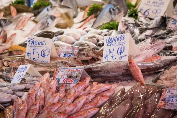Escolha colorida de peixes no mercado tradicional em Palermo, Sicília — Fotografia de Stock