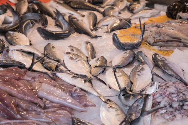 Kleurrijke keuze uit vis op traditionele markt in Palermo, Sicilië — Stockfoto