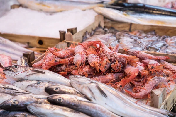 Zeevruchten traditionele vismarkt in Palermo, Italië. — Stockfoto