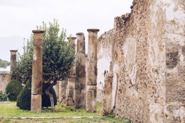 Pompeii, Napoli yakınındaki ünlü antik sitesi. Tam
