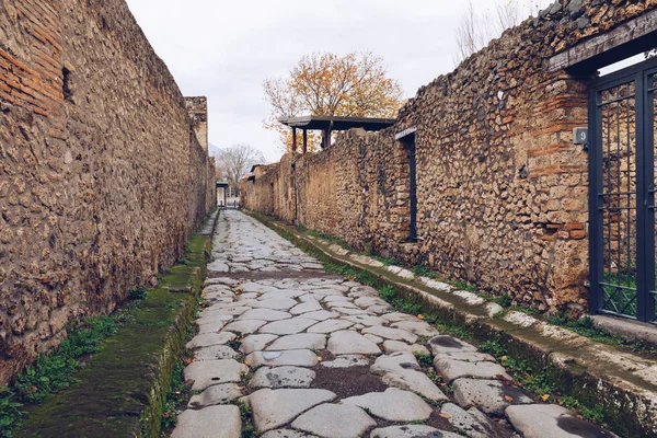 Pompeii, Napoli yakınındaki ünlü antik sitesi. Tam