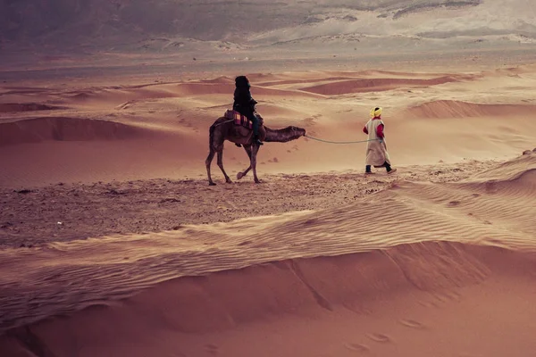 Develer üzerinde kum tepeleri Sahara Çölü'nde. Fas, Afrika. — Stok fotoğraf