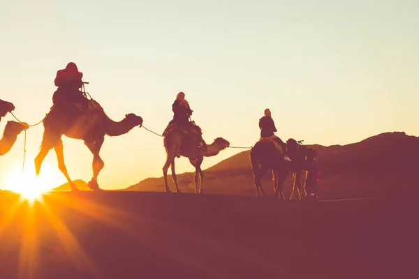 Καμήλα τροχόσπιτο με ανθρώπους που διέρχεται από τους αμμόλοφους στη το α.ε. — Φωτογραφία Αρχείου