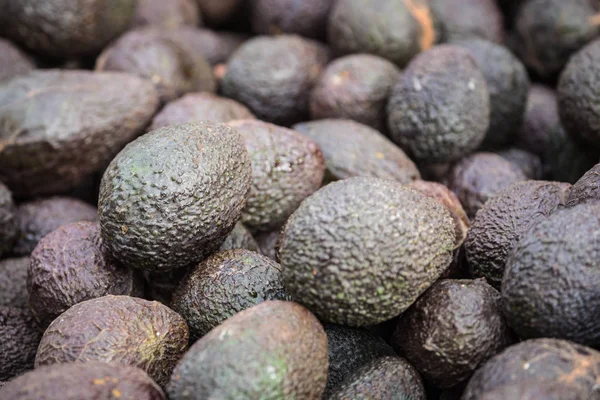 Big bunch of avocados at farmer market Royalty Free Stock Images